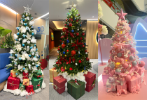 Trang Trí Cây Thông Noel